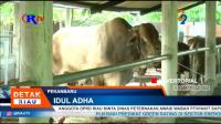 PLAY (klik di sini) ANGGOTA DPRD RIAU MINTA DINAS PETERNAKAN AWASI WABAH PENYAKIT SAPI