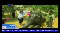 PLAY (klik di sini) BHAYANGKARI DAERAH RIAU SUSURI HUTAN TAHURA