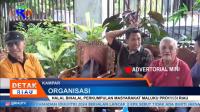 PLAY (klik di sini) HALAL BIHALAL PERKUMPULAN MASYARAKAT MALUKU PROVINSI RIAU