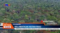 PLAY (klik di sini) DPRD RIAU DORONG PERDA PENGELOLAAN HUTAN SELAMATKAN HUTAN RIAU