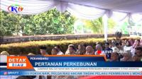 GUBERNUR RIAU EDY NATAR BERI TELADAN DENGAN PERKEBUNAN TAMAN GEMBIRA DURIAN LENGKENG