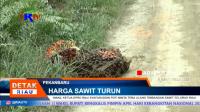 PLAY (klik di sini) WAKIL KETUA DPRD RIAU SYAFARUDDIN POTI MINTA TERA ULANG TIMBANGAN SAWIT SELURUH RIAU