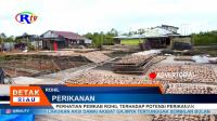PLAY (klik di sini) PERHATIAN PEMKAB ROHIL TERHADAP POTENSI PERIKANAN