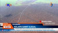 PLAY (klik di sini) HUSAIMI HAMIDI MINTA GUBERNUR RIAU AKSI NYATA KEJAR OPENGUSAHA SAWIT ILEGAL